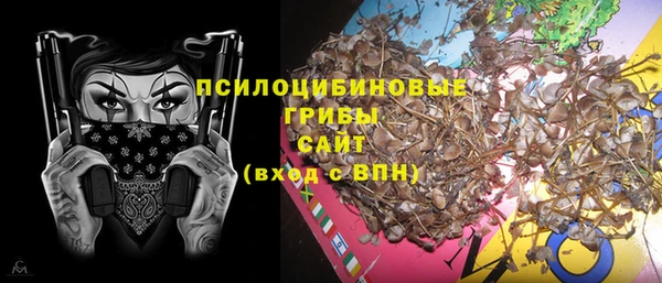 СК Новокубанск