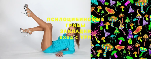 мяу мяу кристалл Няндома